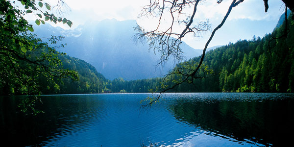 Piburgersee: inmitten einem herllichen Naturschutzgebiet